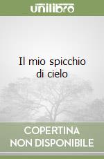 Il mio spicchio di cielo libro