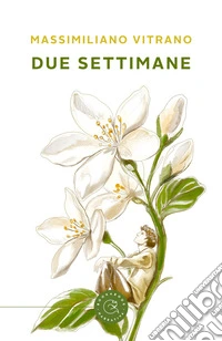Due settimane libro