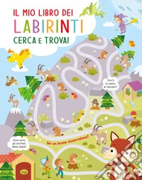 Il mio libro dei labirinti. Ediz. a colori libro