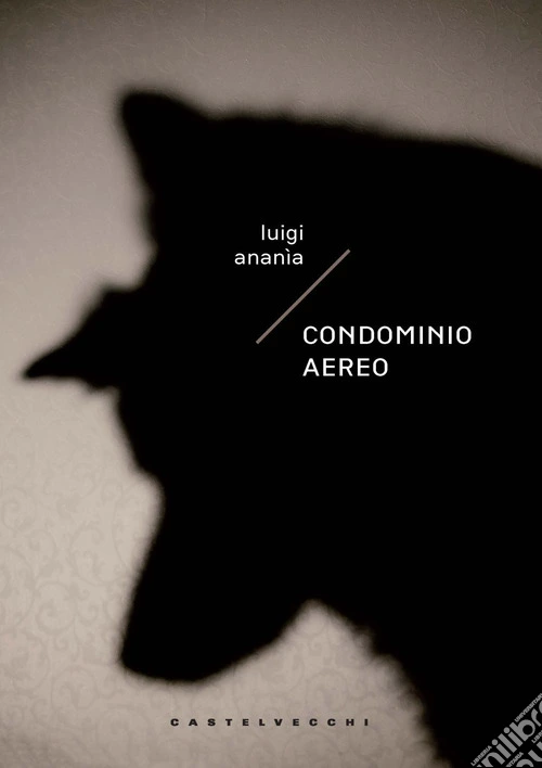 Condominio aereo