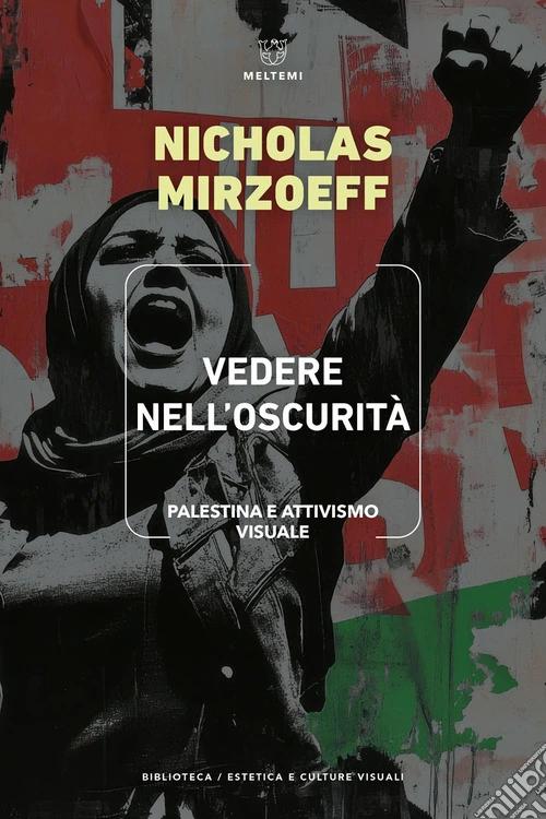 Vedere nell'oscurità. Palestina e attivismo visuale