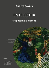 Entelechia. Tre passi nella nigredo libro