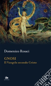 Gnosi. Il Vangelo secondo Cristo libro