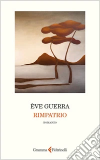 Rimpatrio libro