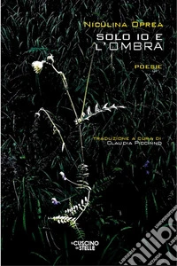 Solo io e l'ombra libro