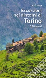 Escursioni nei dintorni di Torino. 12 itinerari libro