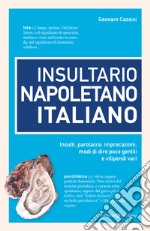 Insultario napoletano italiano. Insulti, parolacce, imprecazioni, modi di dire poco gentili e vilipendi vari libro