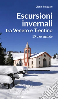 Escursioni invernali tra Veneto e Trentino. 15 passeggiate libro