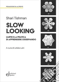 Slow looking. L'arte e la pratica di apprendere osservando libro