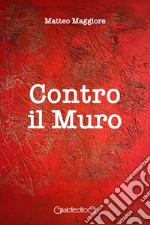 Contro il muro libro