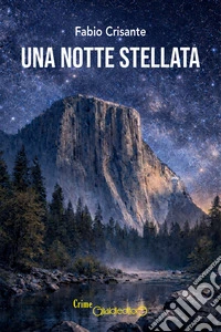 Una notte stellata libro