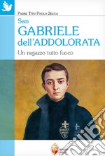 San Gabriele dell'Addolorata. Un ragazzo tutto fuoco libro