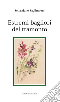 Estremi bagliori del tramonto libro