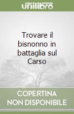 Trovare il bisnonno in battaglia sul Carso libro