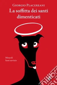 La soffitta dei santi dimenticati libro