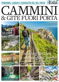 Vivere l'Italia. Cammini e gite fuori porta libro
