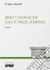 Brevi cronache da un paese sospeso libro