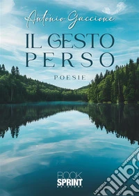 Il gesto perso