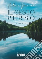 Il gesto perso libro