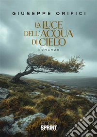 La luce dell'acqua di cielo libro