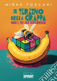 Il terzino nella grappa. Undici teorie elementari libro