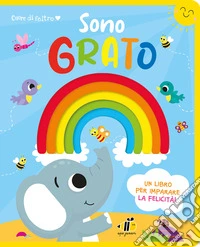 Cuore di feltro. Sono grato. Un libro per imparare la felicità. Ediz. a colori libro