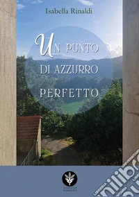 Un punto di azzurro perfetto libro