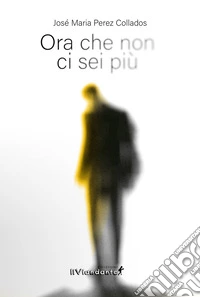 Ora che non ci sei più libro