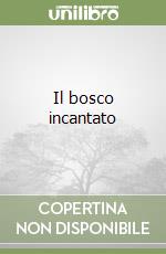 Il bosco incantato