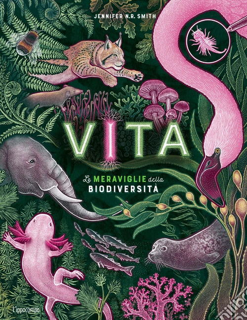 Vita. Le meraviglie della biodiversità. Album scoperte