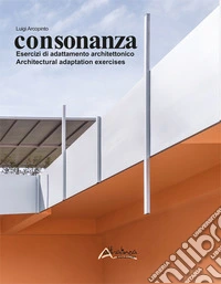 Consonanza. Esercizi di adattamento architettonico-Architectural adaptation exercises libro