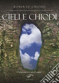 Cieli e chiodi. Poesie scritte dal 2021 al 2024 libro