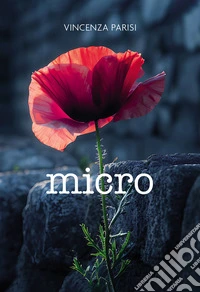 Micro