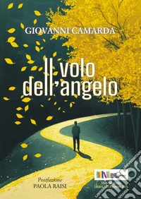 Il volo dell'angelo libro