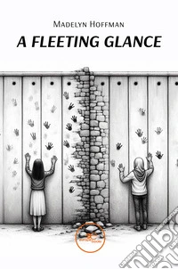A fleeting glance libro