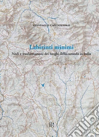 Labirinti minimi. Nodi e trasformazioni dei luoghi della curatela in Italia libro