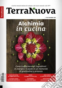 Terra Nuova (2025). Vol. 11: Dicembre libro