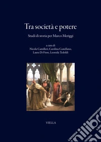 Tra società e potere. Studi di storia per Marco Meriggi libro