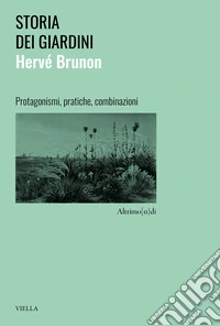 Storia dei giardini. Protagonismi, pratiche, combinazioni libro