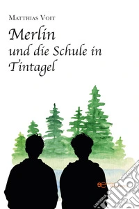Merlin und die Schule in Tintagel libro