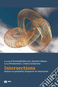 Intersections. Avatars et péripéties d'espaces en interaction libro