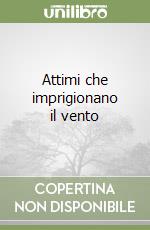 Attimi che imprigionano il vento libro