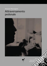 Attraversamento pedonale libro