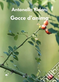 Gocce d'anima libro
