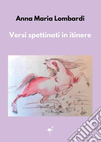 Versi spettinati in itinere libro