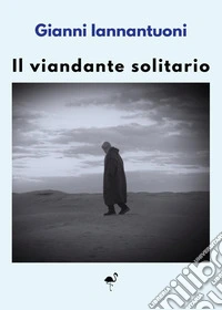 Il viandante solitario libro