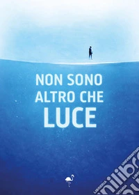 Non sono altro che luce libro