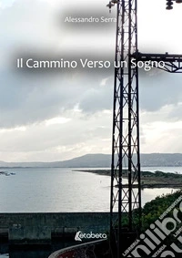 Il cammino verso un sogno libro