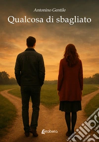 Qualcosa di sbagliato libro