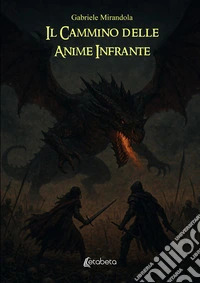 Il cammino delle anime infrante libro